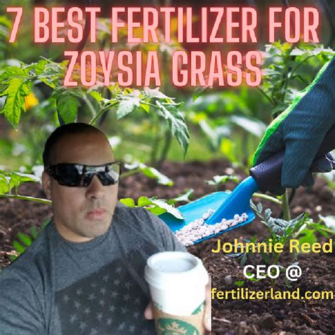 Best fertilizer for zoysia grass 2023 And Buyers Guide