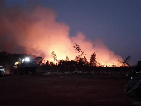 Brigadistas Misioneros Se Suman A Combatir Los Incendios En Corrientes