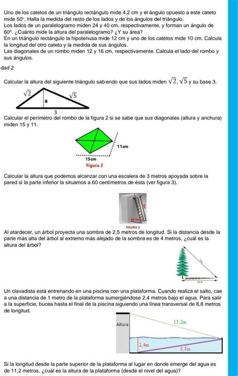 Hola Quien Me Podria Hacer El Favor De Ayudarme Con Estas Actividades