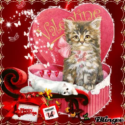 Valentine Kitty Heart Gif Pictures, Photos, and Images for Facebook, Tumblr, Pinterest, and Twitter