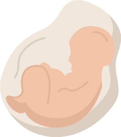 Baby Pregnancy Pregnant Obstetrics Fetus Flat Color Icon Vector