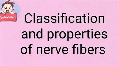 Classification And Properties Of Nerve Fibers Youtube