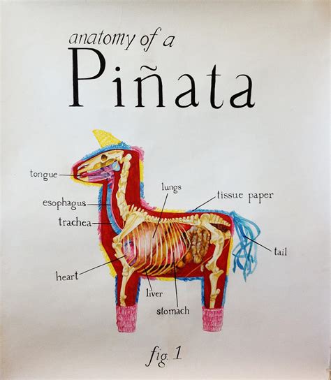 The Anatomy Of A Pinata By The Talking Mime On Deviantart