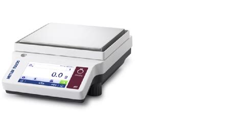 Digital Mettler Toledo Jet G Weighing Capacity Kg Mgs At Rs