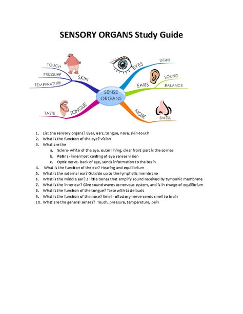 Sensory Organs Study Guide Sensory Organs Study Guide List The