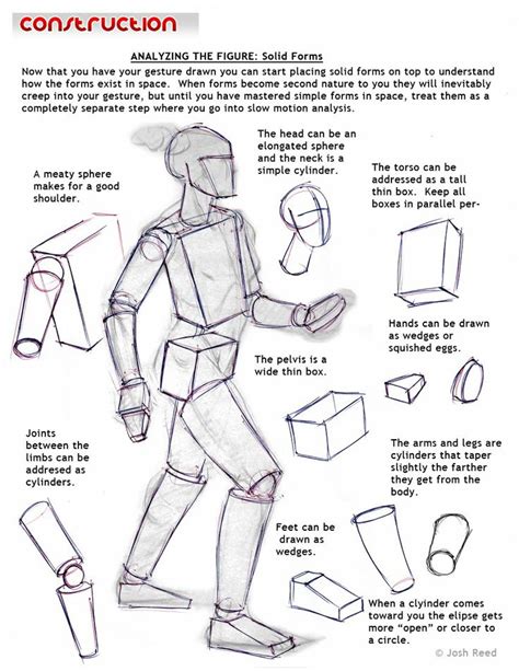 Construction Figure Drawing Tutorial Human Anatomy Drawing Anatomy