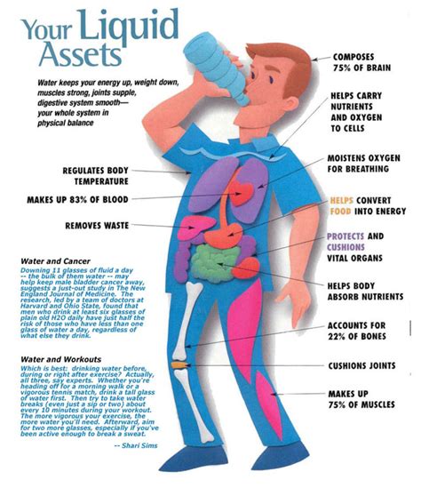 Importance Of Drinking Water 喝水的重要性 First Nutrition 樂活營養俱樂部