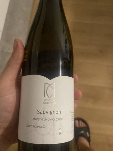 Moravian Collection Sauvignon Vivino US