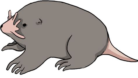 Mole Vector Artwork Illustration Png Image