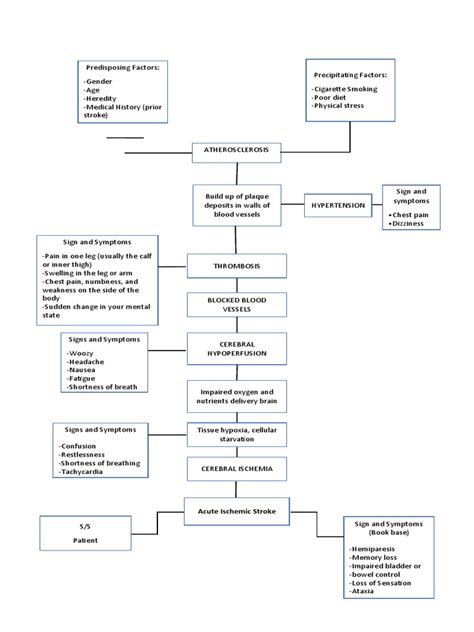 Pathophysiology Ischemic Stroke | PDF