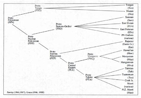 1: The standard subgrouping of Polynesian languages, from Marck (2000:2 ...