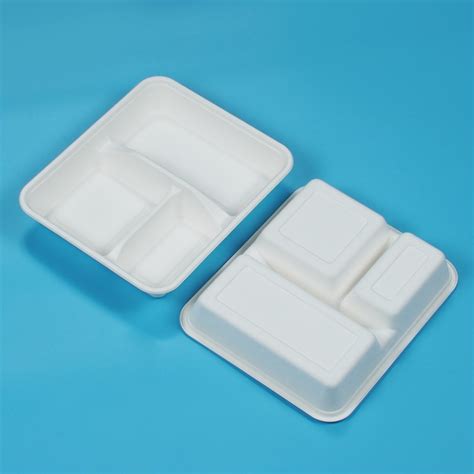 Custom Logo Disposable Biodegradable Food Tray For Sandwich Fried