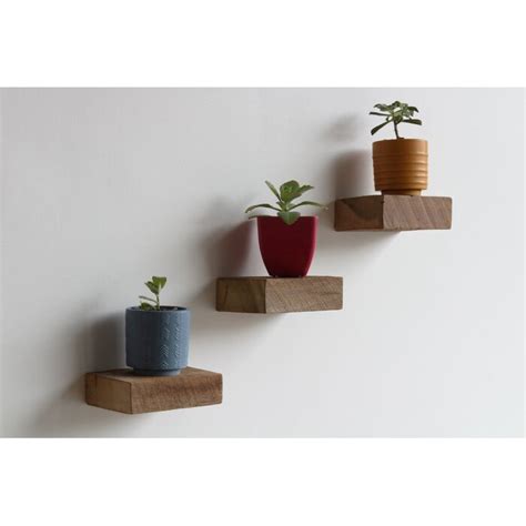 Brayden Studio Salomon Piece Solid Wood Floating Shelf With