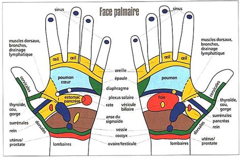 Se Soigner À La Maison 7 Techniques Faciles De RÉflexologie