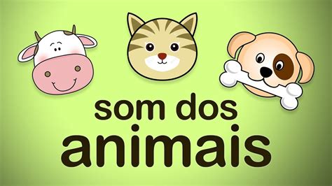 Som Dos Animais Youtube