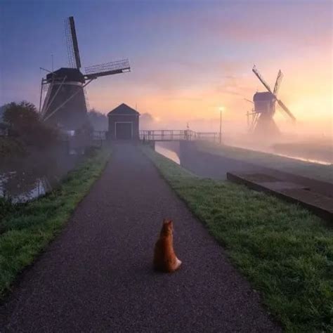 Top Gay Amateur Porn Video Creators Of Homemade Sex XHamster