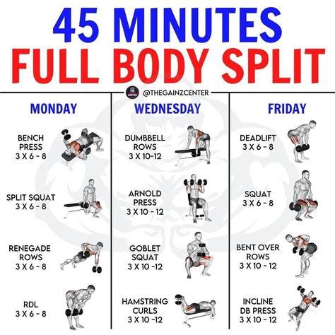 36 Best 3 day split workout ideas in 2021 | workout, weight training ...