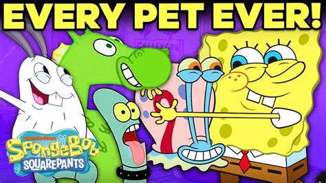 Every Pet In Bikini Bottom Spongebob Squarepants Youtube