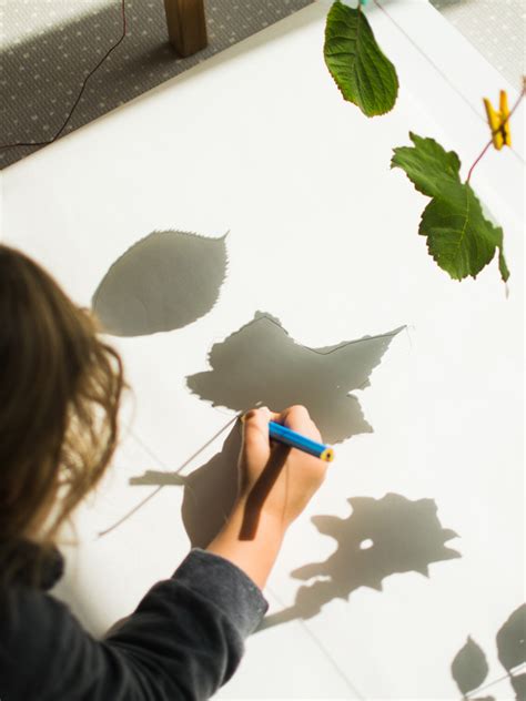 Guide to Shadow Art for Kids: Creative Drawing Idea using Leaves ...