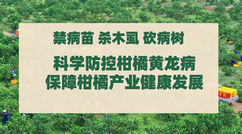 【重实效 强实干 抓落实】柳家乡：抓好三大产业发展，全力推进乡村振兴腾讯新闻