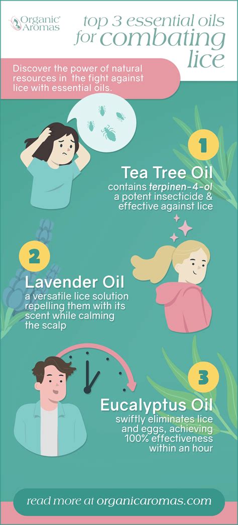 Ultimate Guide To Natural Lice Treatment Options Lice Nits