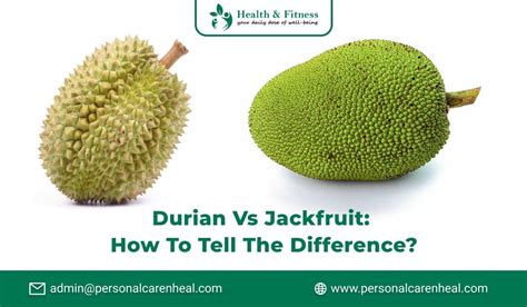 Durian Vs Jackfruit How To Tell The Difference