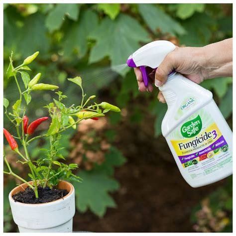 Garden Safe 24 Fl Oz Fungicide3 Fungicide Insecticide Miticide