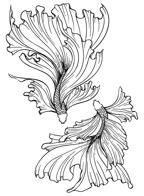 Betta Fish Pictures Coloring Page Free Printable Coloring Pages | The ...