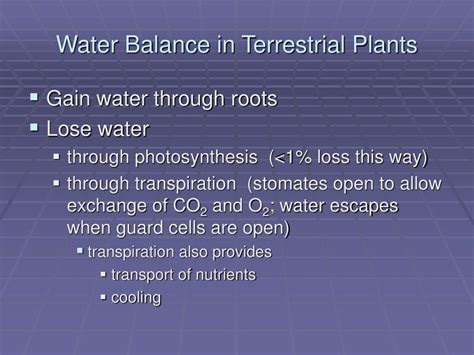 Ppt Water Balance In Terrestrial Plants Powerpoint Presentation Free