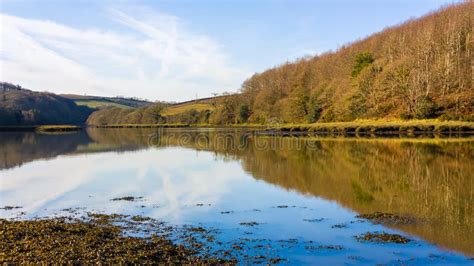 Cotehele Banks Of The River Tamar Cornwall Stock Image Image Of