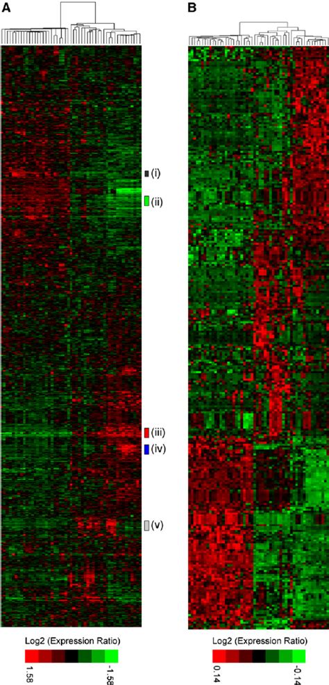 Gene Expression Profiles Of 51 Human Breast Cancer Cell Lines A