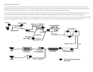 La fermentación maloláctica del vino PPT Descarga Gratuita