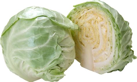 Savoy cabbage Cauliflower Red cabbage - cabbage png download - 697*420 ...