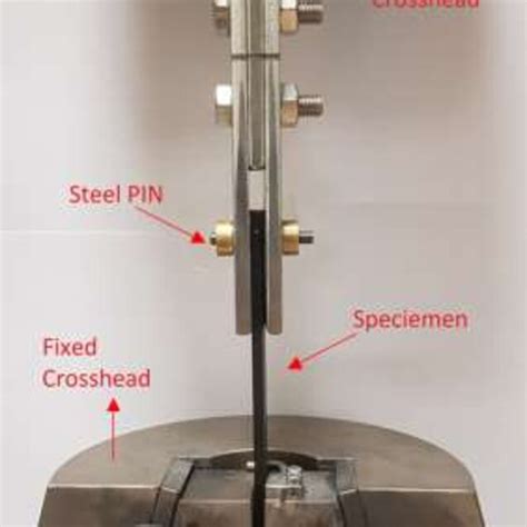 Pin Bearing Experimental Setup Download Scientific Diagram