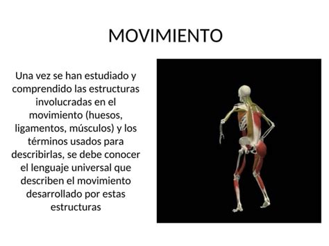 Ppt Sobre Planos Ejes Y Movimientos Del Cuerpo PPT Descarga Gratuita