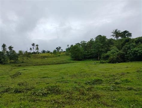 Residential Farm Lot For Sale Mabini Bohol Properties April