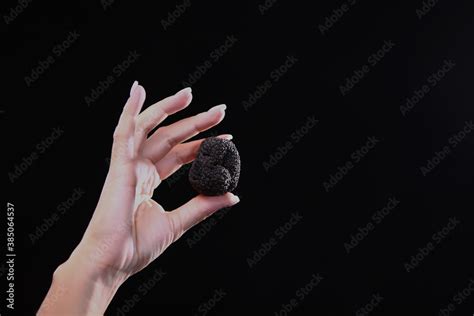 Black Truffle In A Woman S Hand The Season Of Truffles Exquisite And