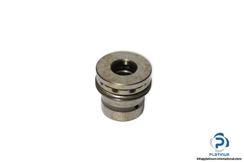 Ina Nkx Tn Needle Roller Axial Ball Bearing Platinum International