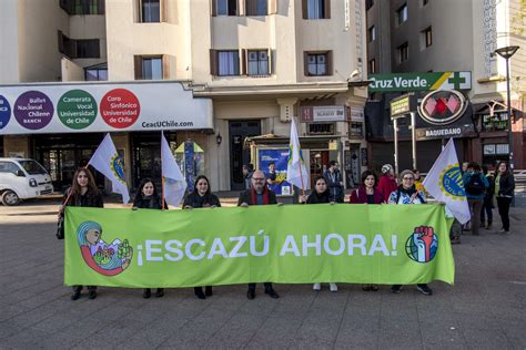 Organizaciones Medioambientales Manifiestan Su Preocupaci N Por Los