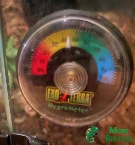 Crested Gecko Temperature & Humidity Chart