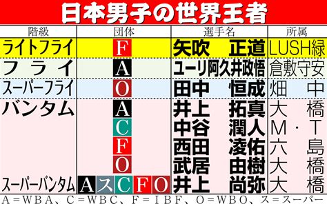 堤聖也新王者！井上拓真は陥落 寺地拳四朗2階級制覇 岩田翔吉は早大初、ユーリ阿久井は防衛／詳細 ボクシングライブ速報写真ニュース 日刊スポーツ