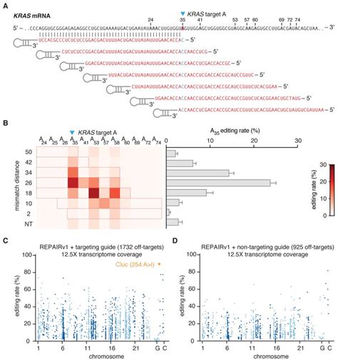 RNA Editing with CRISPR-Cas13 - PMC