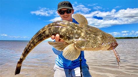 The Art Of Winter Flathead Fishing Embracing The Chill