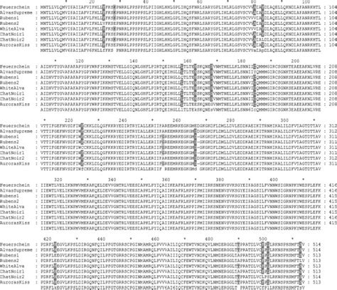 Multiple Amino Acid Sequence Alignment Of Fns Ii Alignment Was