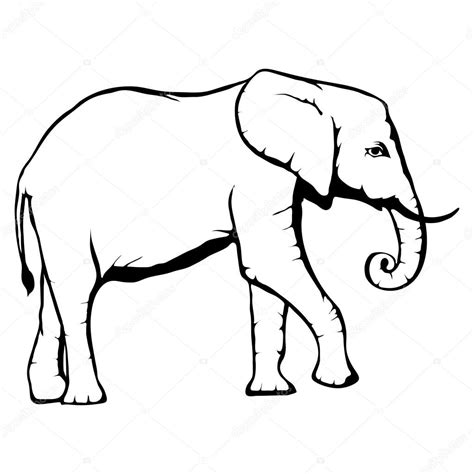 Vector Elefante En Blanco Y Negro Elefante Blanco Y Negro Vector