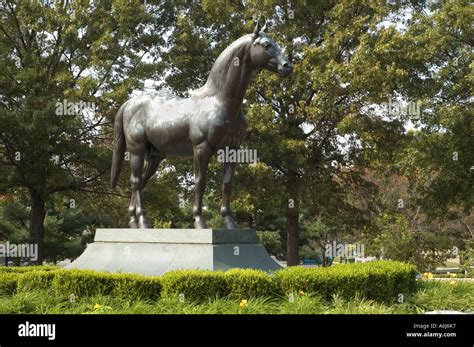 Race Horse Man O War High Resolution Stock Photography and Images - Alamy