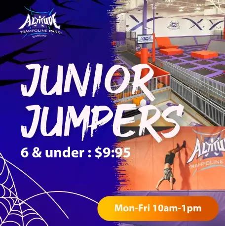 Altitude Trampoline Park | LeadOrigin