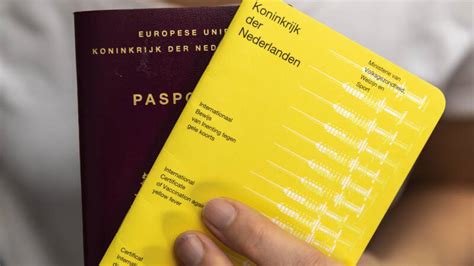 Yellow Fever Vaccination Booklets Edu Svet Gob Gt