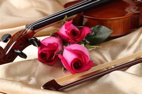 Violin Roses Wallpapers Top Free Violin Roses Backgrounds