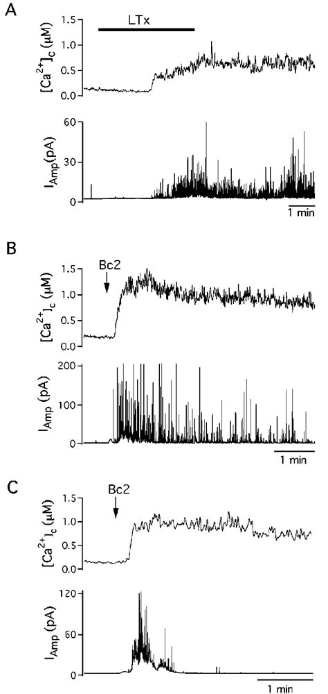 Comparison Of Ca Signals And Evoked Catecholamine Secretion In Single